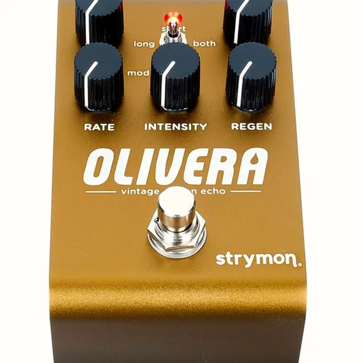 Strymon Olivera Delay : Test, Comparatif, Avis