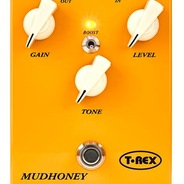 T-Rex Mudhoney , Test & Avis