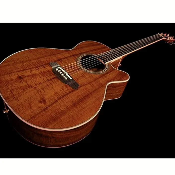 Takamine EF508KC / Avis, Comparatif & Test