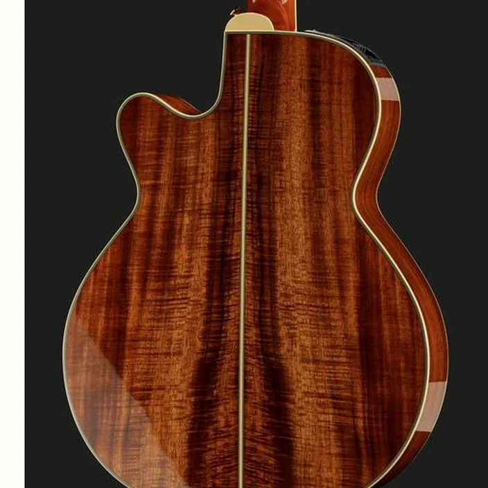 Takamine EF508KC / Avis, Comparatif & Test