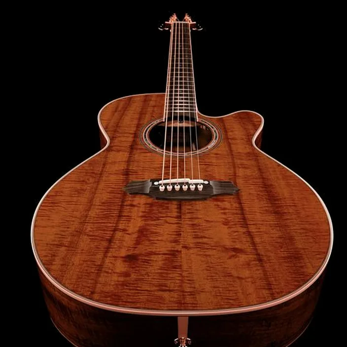 Takamine EF508KC / Avis, Comparatif & Test