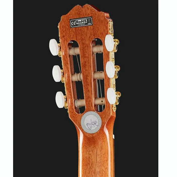 Takamine GC5CE-N-LH / Avis, Test, Comparatif