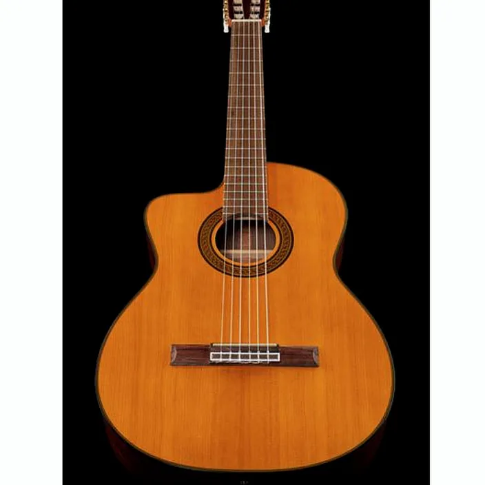 Takamine GC5CE-N-LH / Avis, Test, Comparatif
