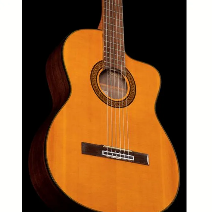 Takamine GC5CE Natur