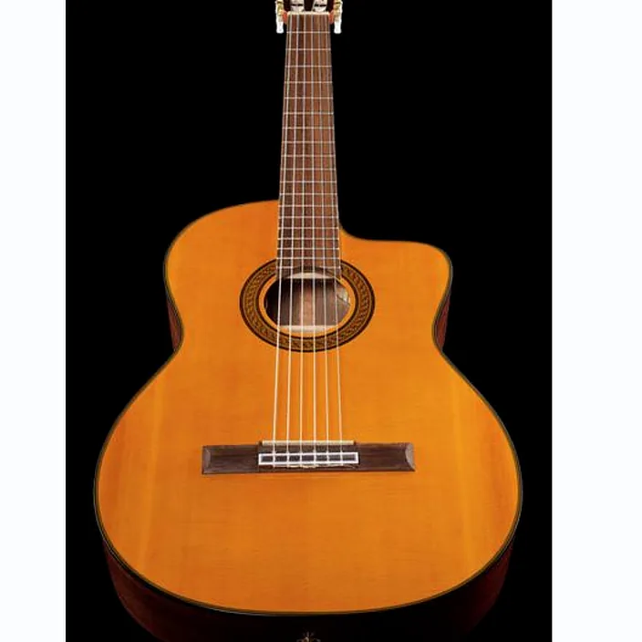 Takamine GC5CE Natur