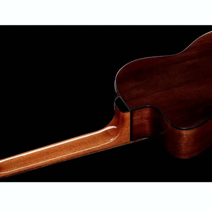 Takamine GC5CE Natur