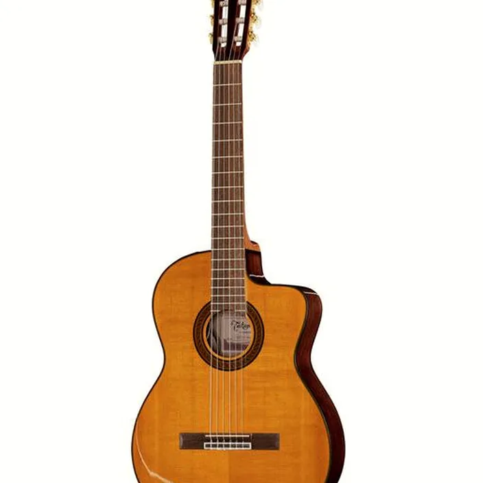 Takamine GC5CE Natur