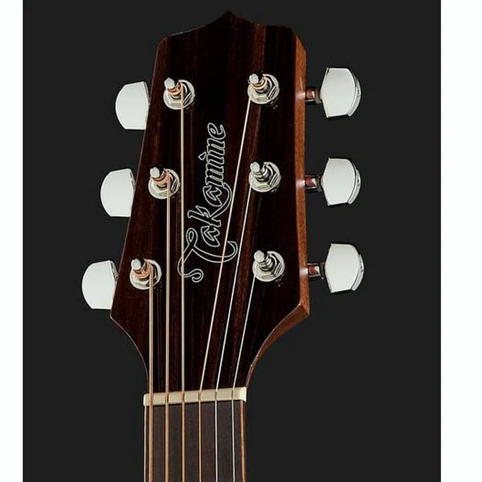 Takamine GD30CE-N