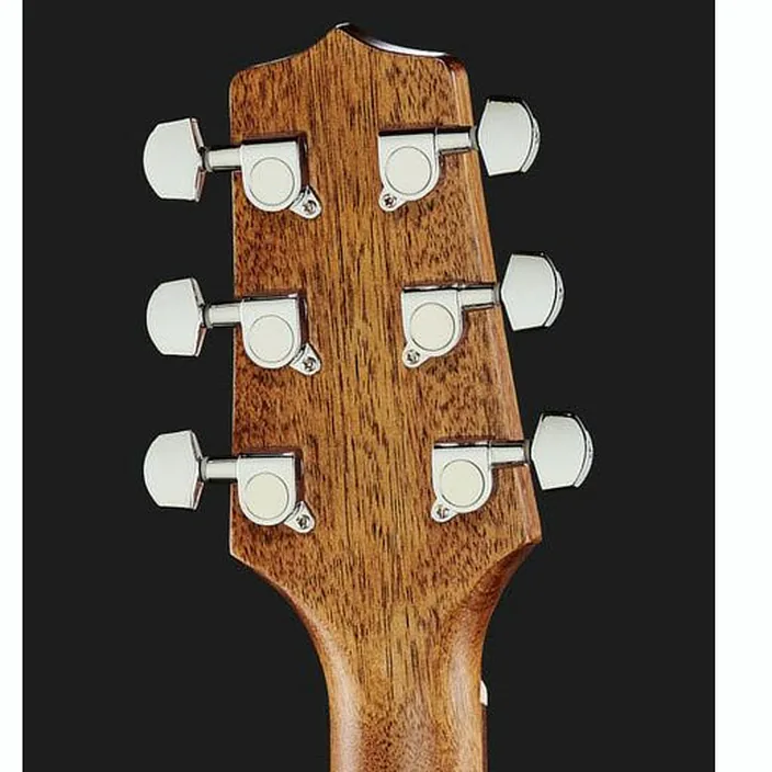 Takamine GD30CE-N
