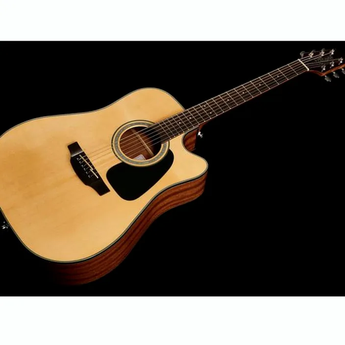Takamine GD30CE-N