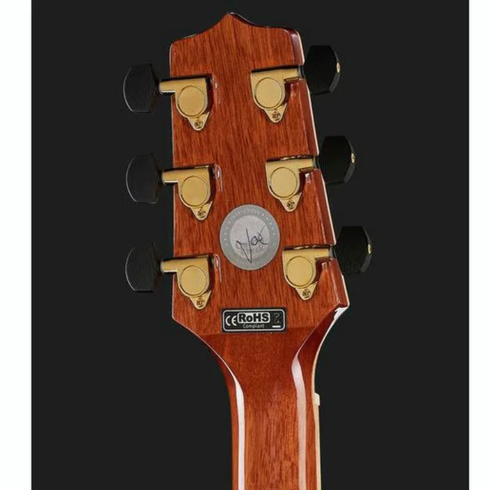 Takamine GD93CE-NAT-2 Set 1 , Comparatif, Avis & Test