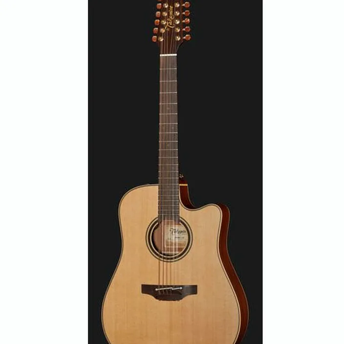 Takamine P3DC-12