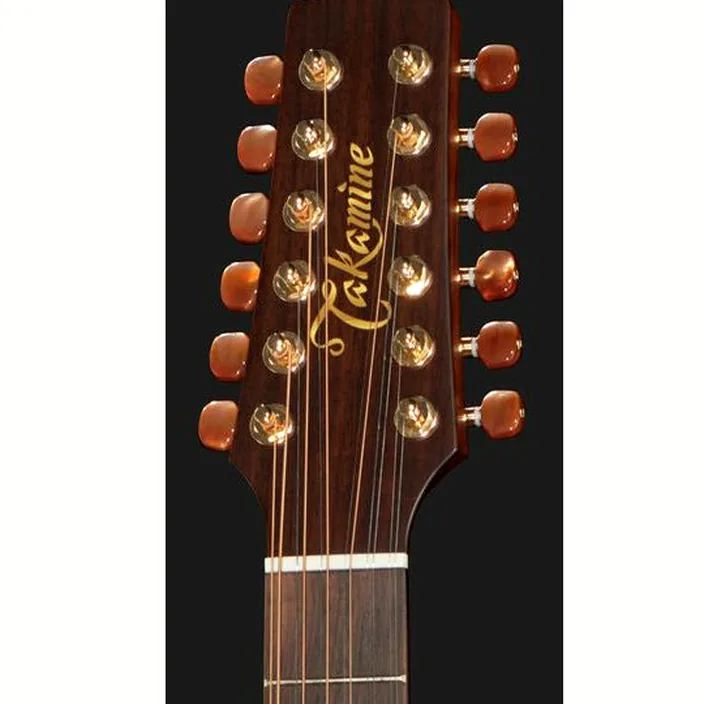 Takamine P3DC-12