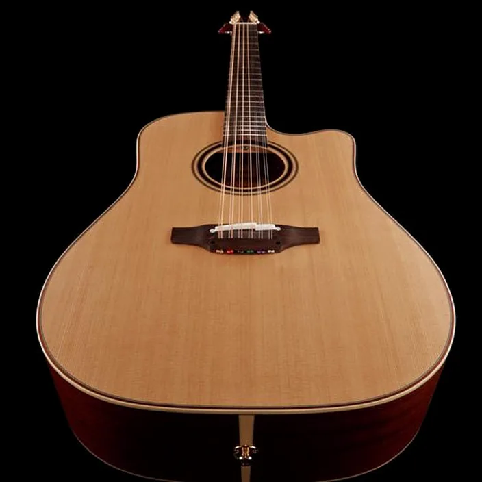 Takamine P3DC-12