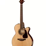 Takamine P5NC w/Softcase Test & Avis