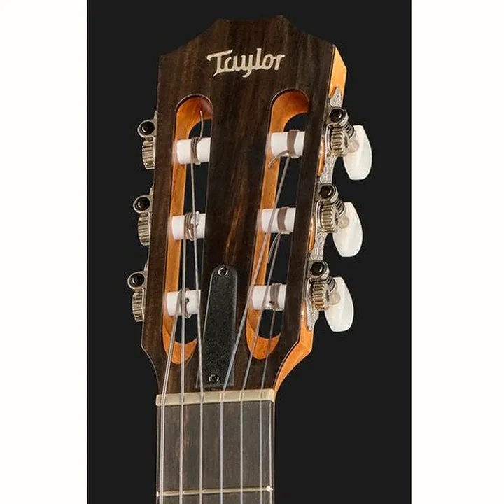 Taylor 112ce-N : Avis, Comparatif et Test