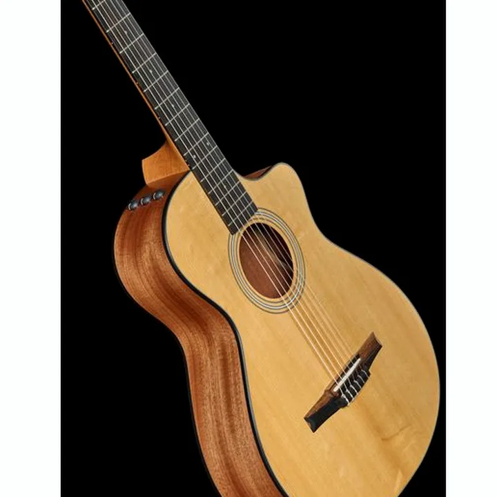 Taylor 112ce-N : Avis, Comparatif et Test