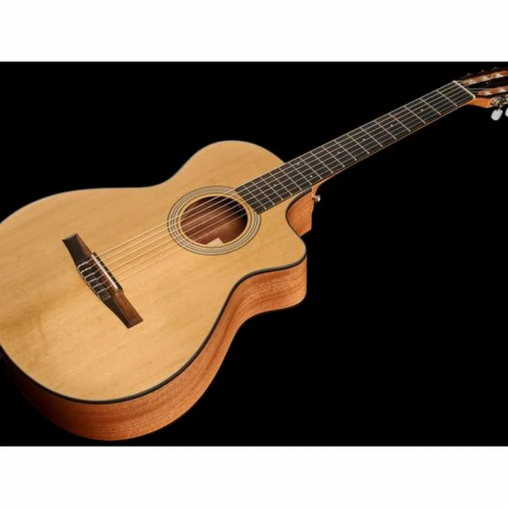 Taylor 112ce-N : Avis, Comparatif et Test