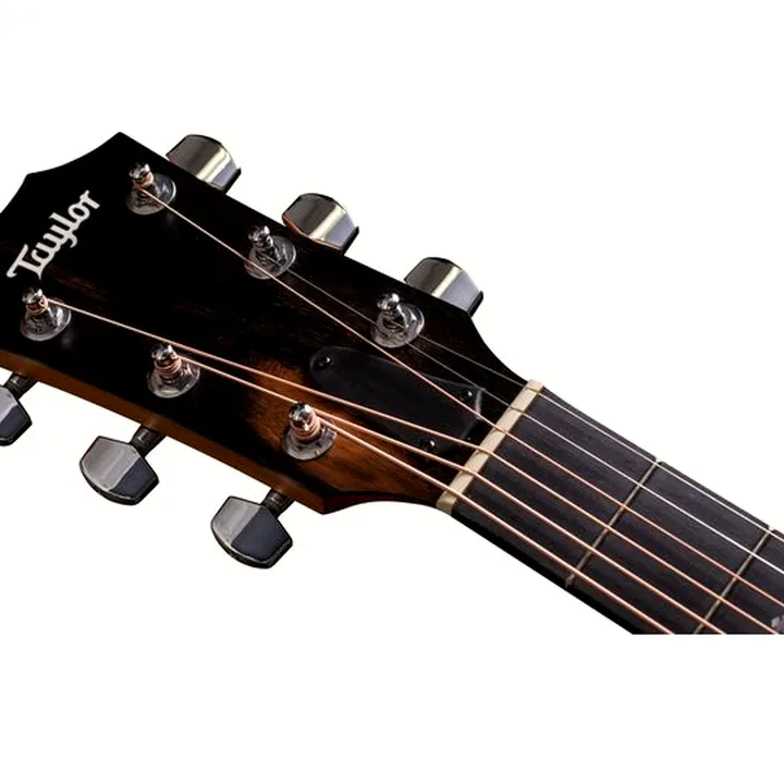 Taylor 210e-SB DLX Test, Avis