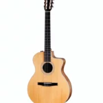 Taylor 214ce-N Spruce/Walnut , Test, Comparatif & Avis