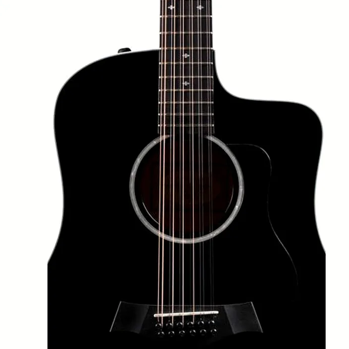Et Test : Taylor 250ce-BLK DLX