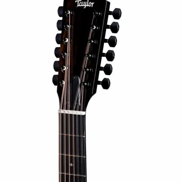 Et Test : Taylor 250ce-BLK DLX