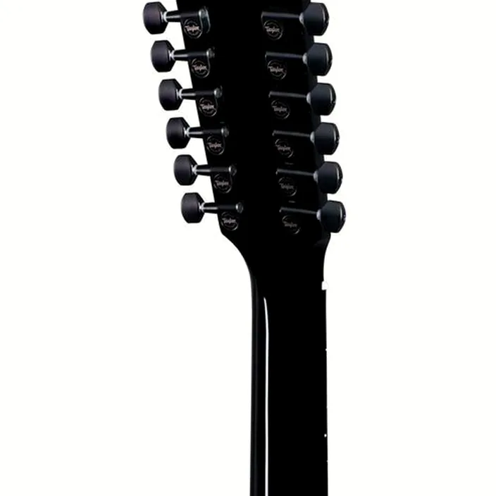 Et Test : Taylor 250ce-BLK DLX