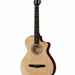 Taylor 312ce-N Nylon – Test & Avis