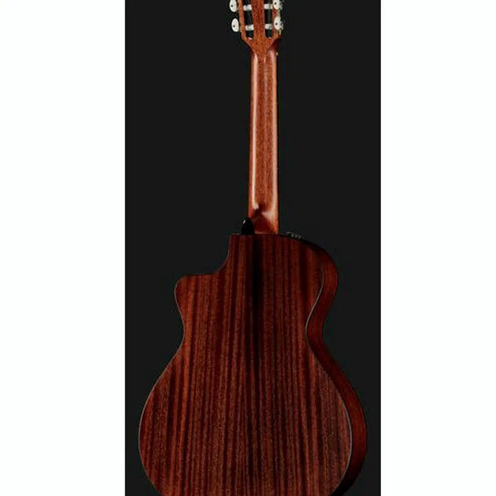 Taylor 312ce-N Nylon Avis et Test