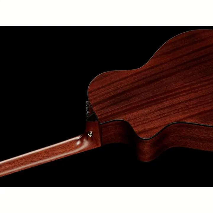 Taylor 312ce-N Nylon Avis et Test