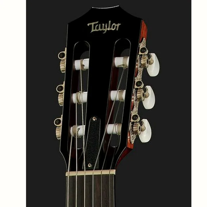 Taylor 312ce-N Nylon Avis et Test