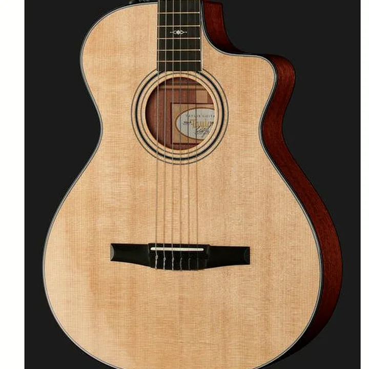 Taylor 312ce-N Nylon Avis et Test