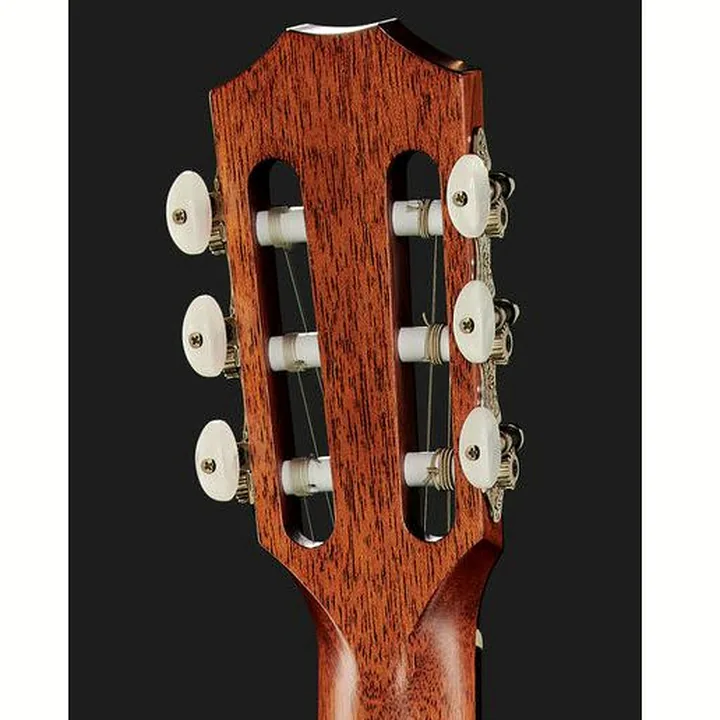 Taylor 312ce-N Nylon Avis et Test