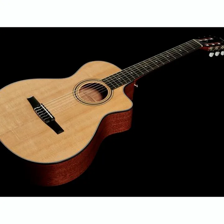 Taylor 312ce-N Nylon Avis et Test