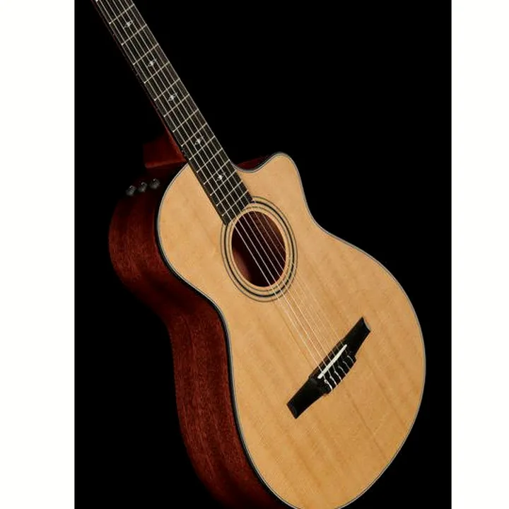 Taylor 312ce-N Nylon Avis et Test