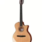 Test et Avis : Taylor 314ce-N