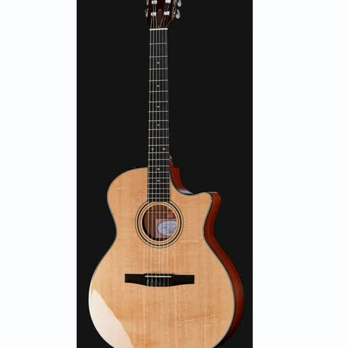 Et Avis : Taylor 314ce-N
