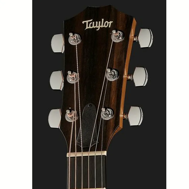 Taylor 70th Anniversary 114ce Koa Test, Comparatif et Avis
