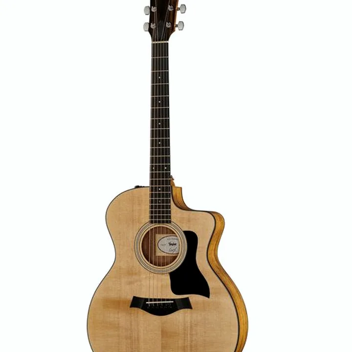 Taylor 70th Anniversary 114ce Koa Test, Comparatif et Avis