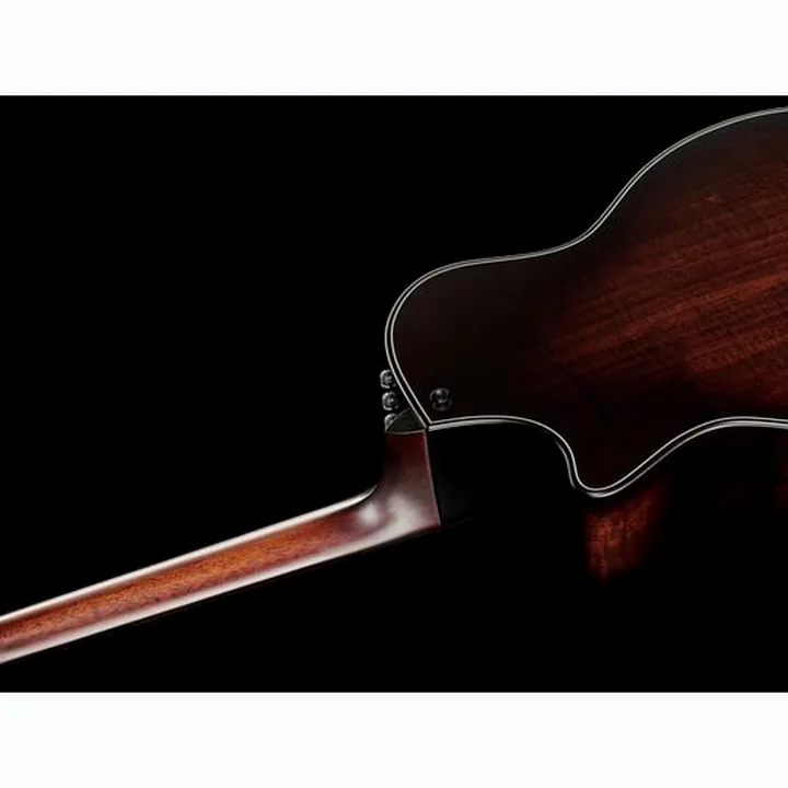 Taylor Builders Edition 324ce Test, Avis et Comparatif