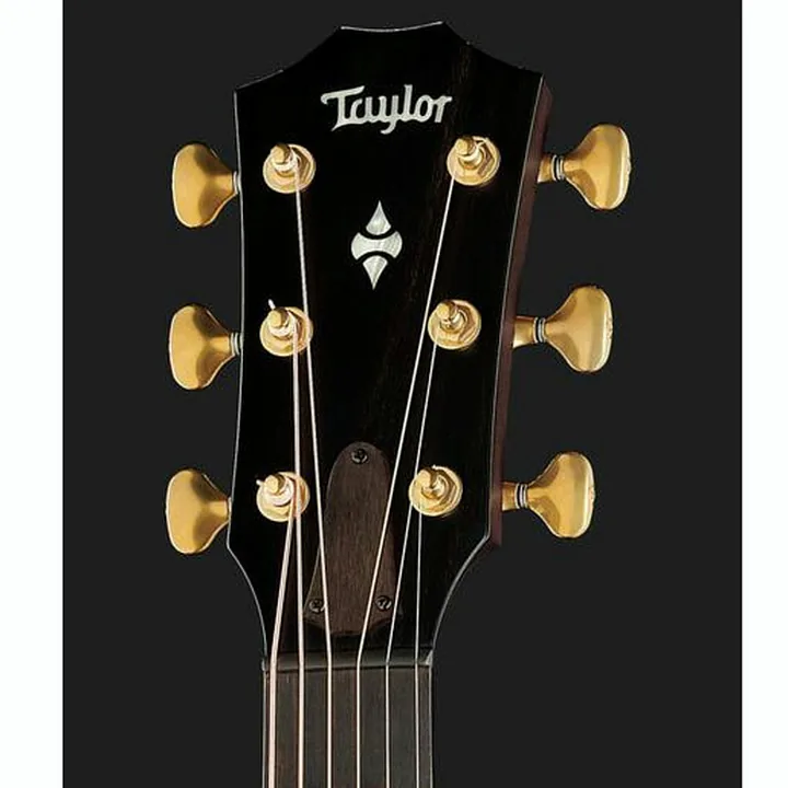 Taylor Builders Edition 324ce Test, Avis et Comparatif