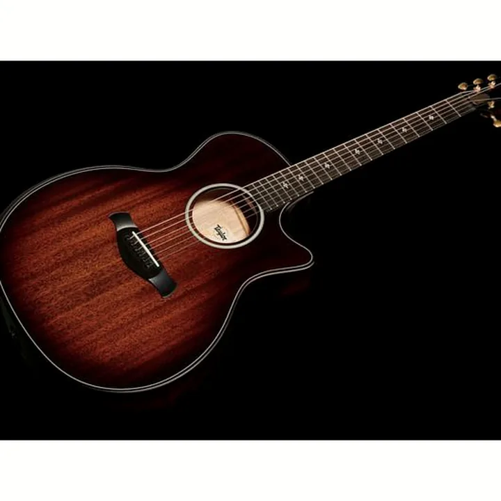 Taylor Builders Edition 324ce Test, Avis et Comparatif