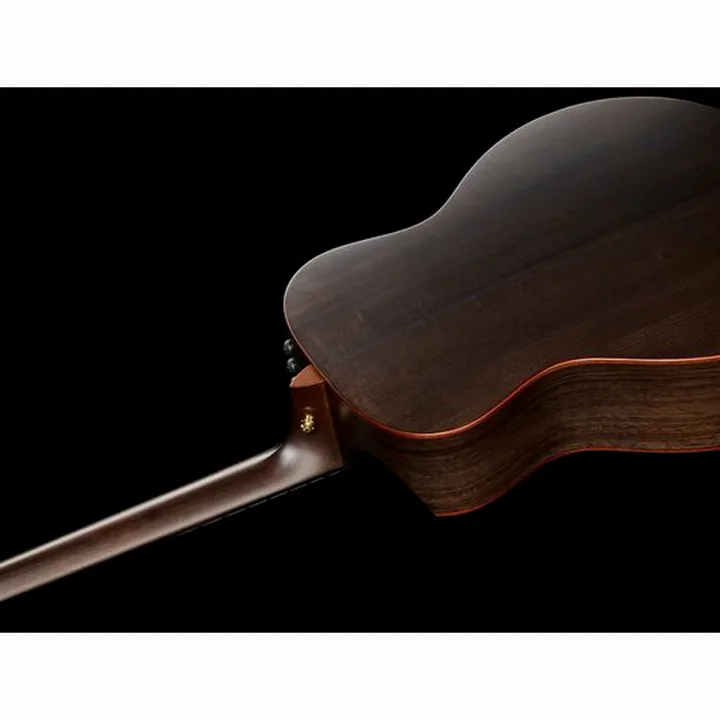 Taylor C26ce Grand Symphony Custom Comparatif, Avis & Test