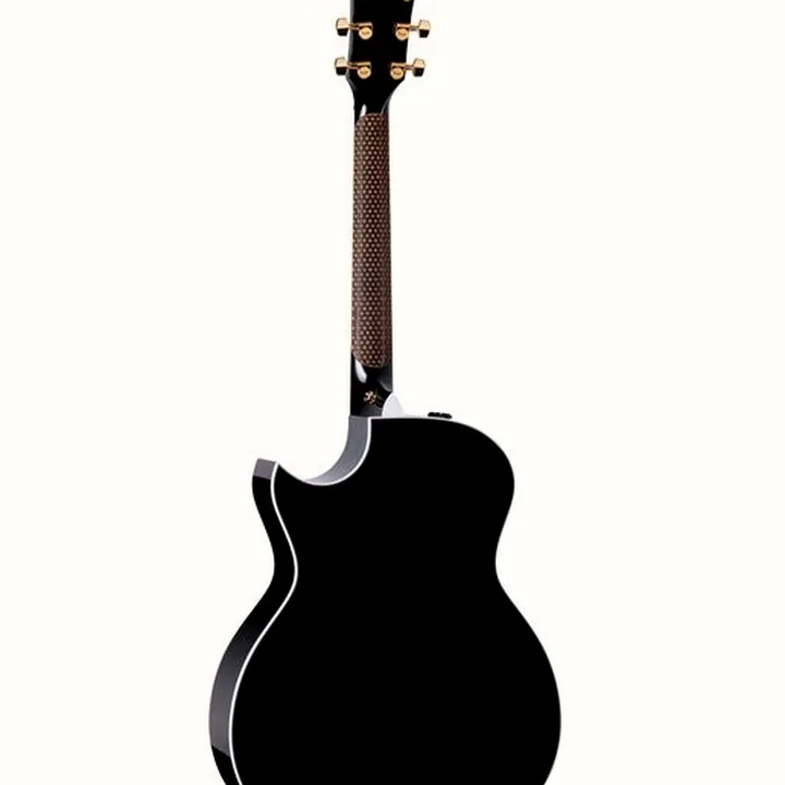 Taylor Custom #12: C14ce B5012 : Test, Comparatif & Avis