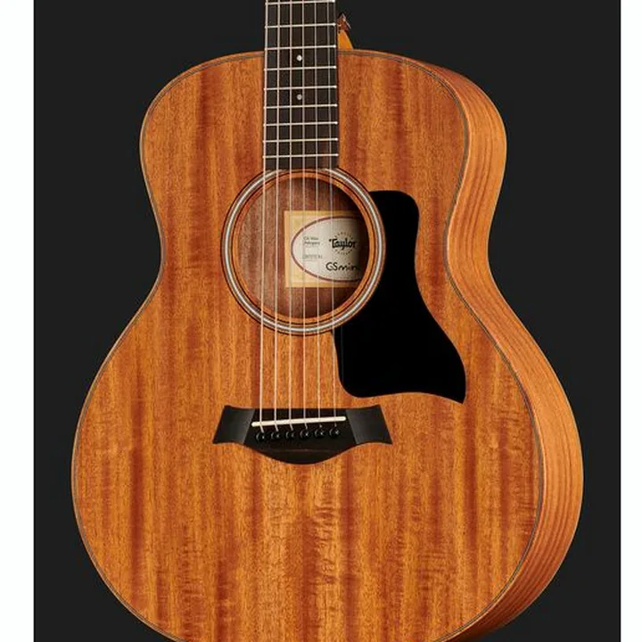 Taylor GS Mini Mahogany : Comparatif, Avis & Test