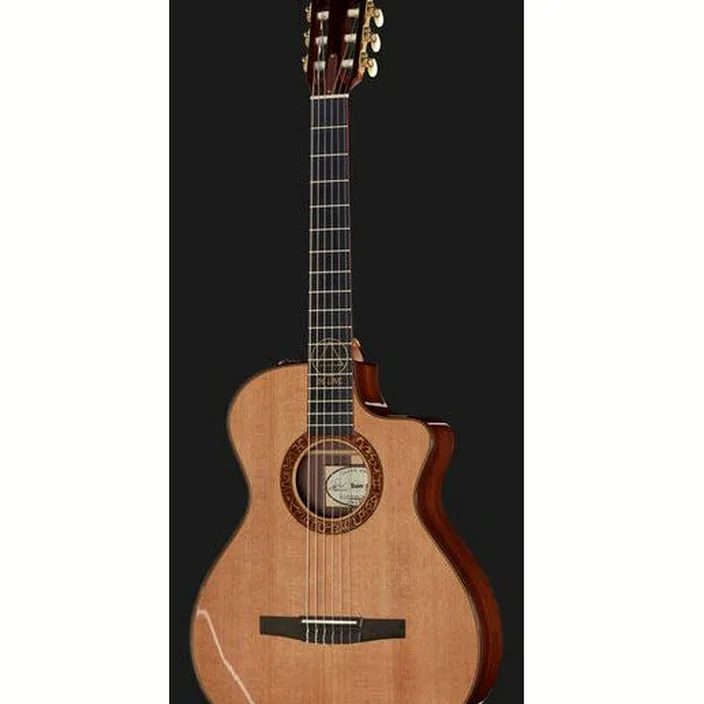 Taylor Jason Mraz Signature
