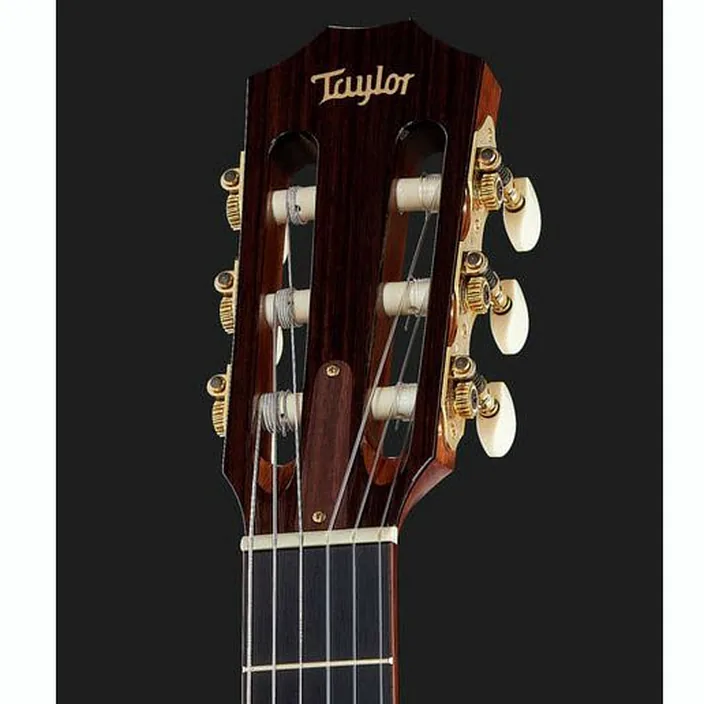 Taylor Jason Mraz Signature