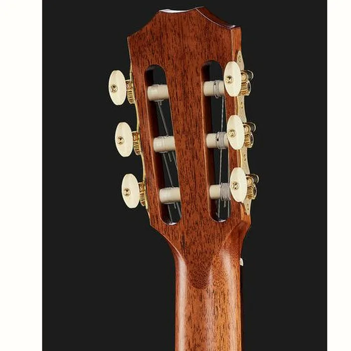 Taylor Jason Mraz Signature