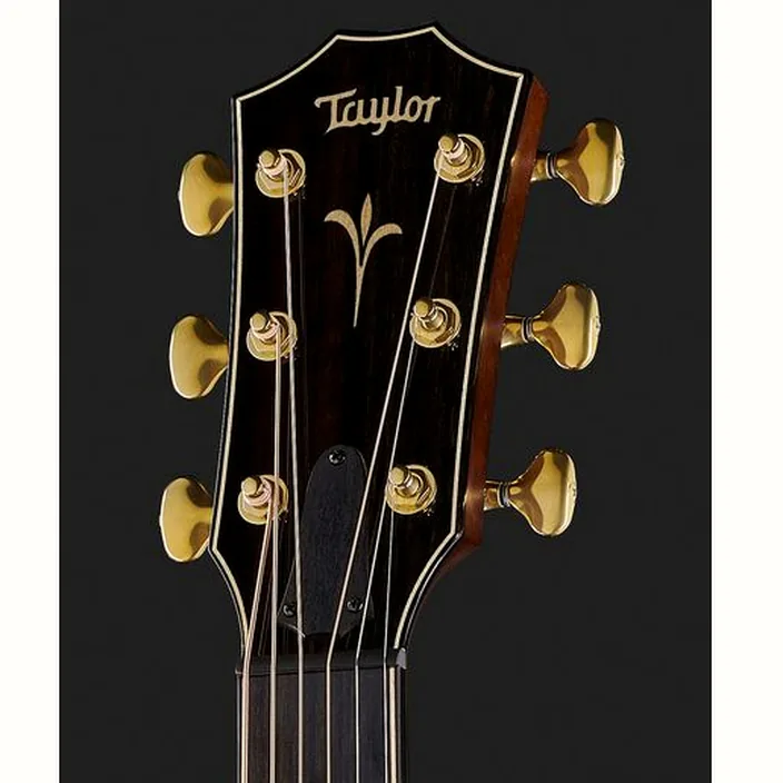 Et Avis : Taylor K24ce V-Class