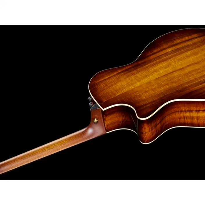 Et Avis : Taylor K24ce V-Class
